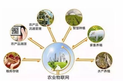 鄉村規劃設計丨中國農業十大戰略布局 風口、獨角獸與投資熱點深度解析